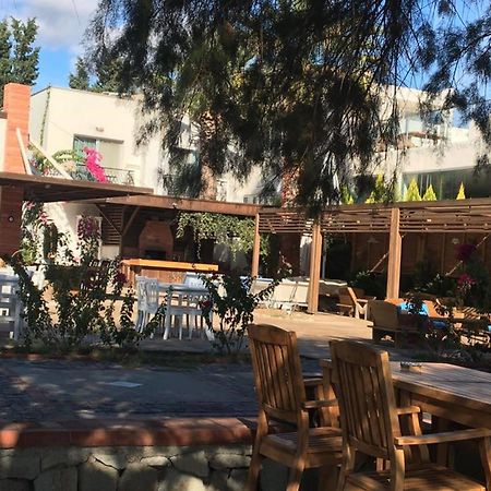 أورتاكنت Meggs Bodrum Beach Restaurant & Hotel المظهر الخارجي الصورة
