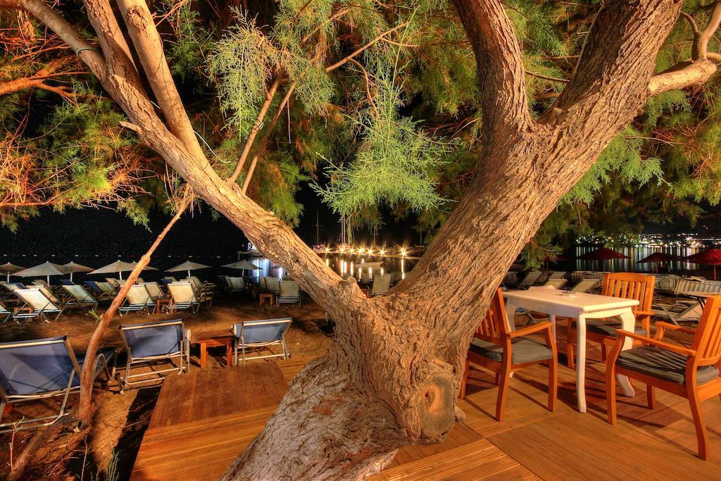 أورتاكنت Meggs Bodrum Beach Restaurant & Hotel المظهر الخارجي الصورة